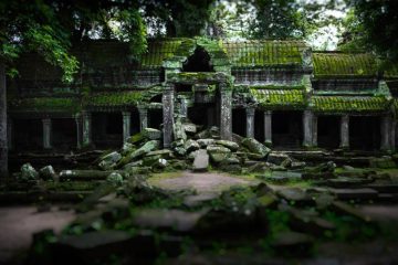 templo ta prohm 01 600px.jpg